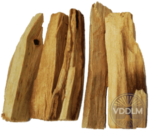 palosanto terapiadirecta